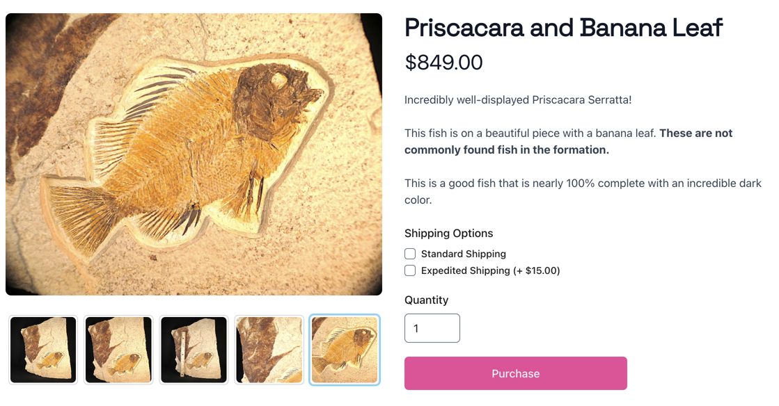 An image of an example product for sale on an Articulation website